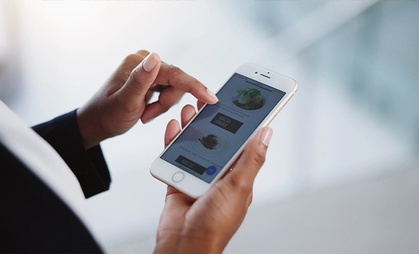 Test ve Yayına Alma