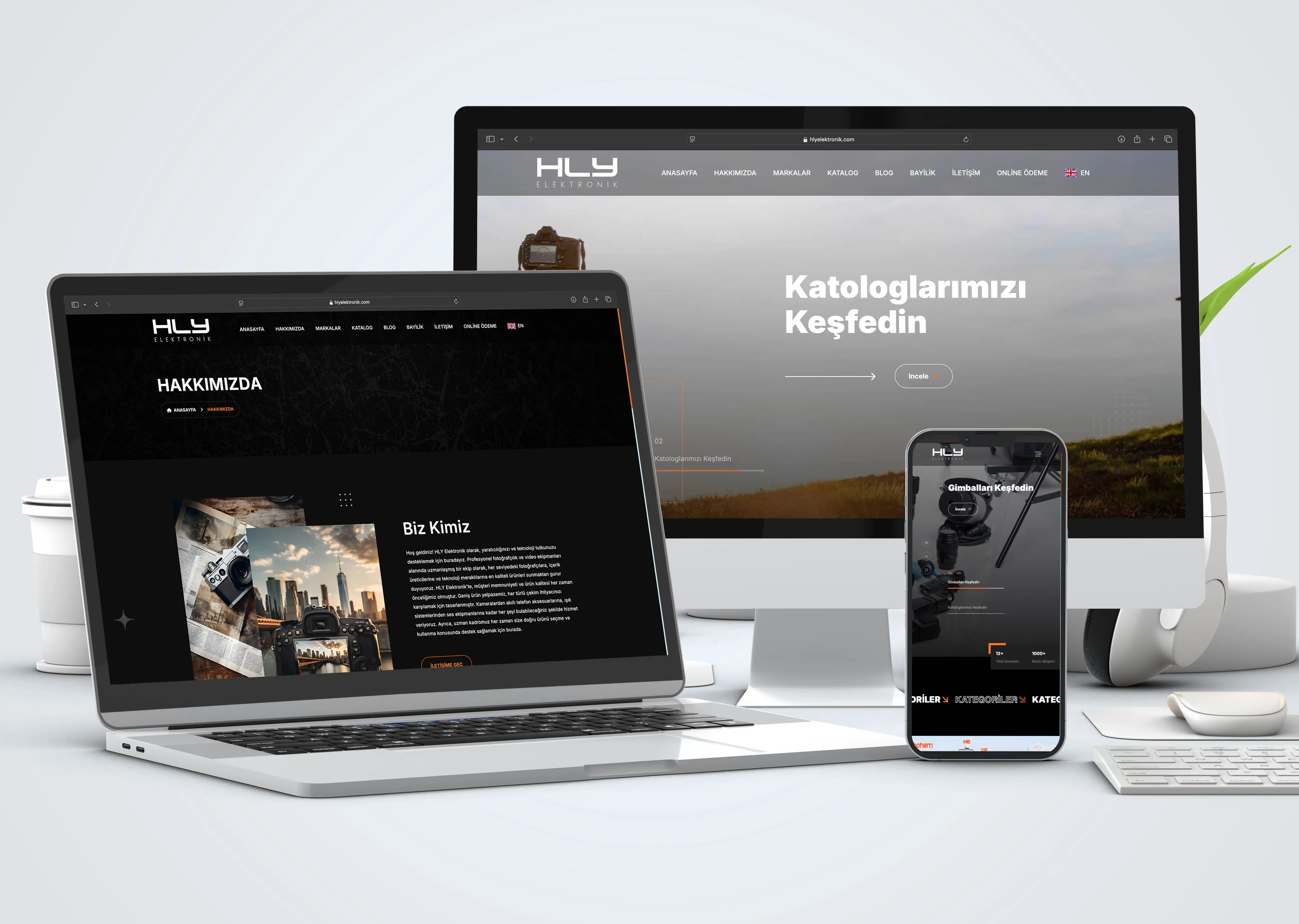 HLY Elektronik Web Site